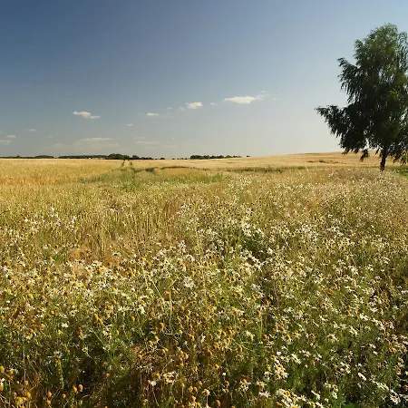 Raminorca Ferienwohnung Mit Grossem Pool - Fruehstueck Kann Man Bei Uns Dazu Buchen 3* Ramin