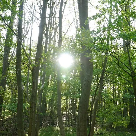 Raminorca - Fruehstueck Kann Man Bei Uns Dazu Buchen 3* Ramin