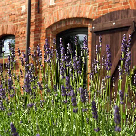 Raminorca Ferienwohnung Mit Grossem Pool - Fruehstueck Kann Man Bei Uns Dazu Buchen Ramin